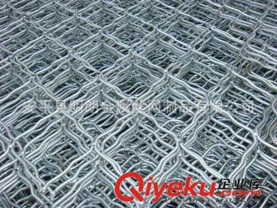 1000絲美格網(wǎng) 粗絲美格網(wǎng) 結(jié)實(shí)耐用美格網(wǎng)圖片|1000絲美格網(wǎng) 粗絲美格網(wǎng) 結(jié)實(shí)耐用美格網(wǎng)產(chǎn)品圖片由安平縣明朗金屬絲網(wǎng)制品公司生產(chǎn)提供-