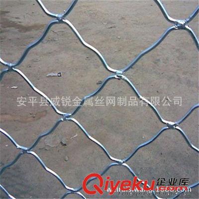 廠家直銷東北地區.圈玉米美格網.圈棒子美格網,美格網價格-安平縣威銳金屬絲網制品提供廠家直銷東北地區.圈玉米美格網.圈棒子美格網,美格網價格的相關介紹、產品、服務、圖片、價格安平縣威銳金屬絲網制品、鐵絲網;護欄網;隔離柵;防護網;牛欄網;荷蘭網;軋花網;草原網;勾花網;刀片刺繩網;防風抑塵網;沖孔網;建筑網片;美格網;鋼板網;鐵藝護欄網;鋼格板;不銹鋼網;石籠網;礦篩網