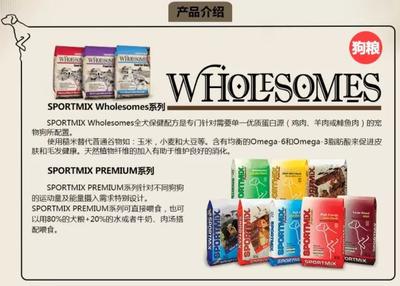 四家工廠因嚴重違規收到FDA警告信，寵物食品安全警鐘再鳴