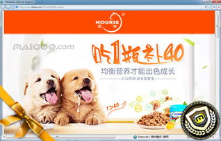 探索Nourse衛仕密心專賣店 專業寵物食品，守護愛寵健康